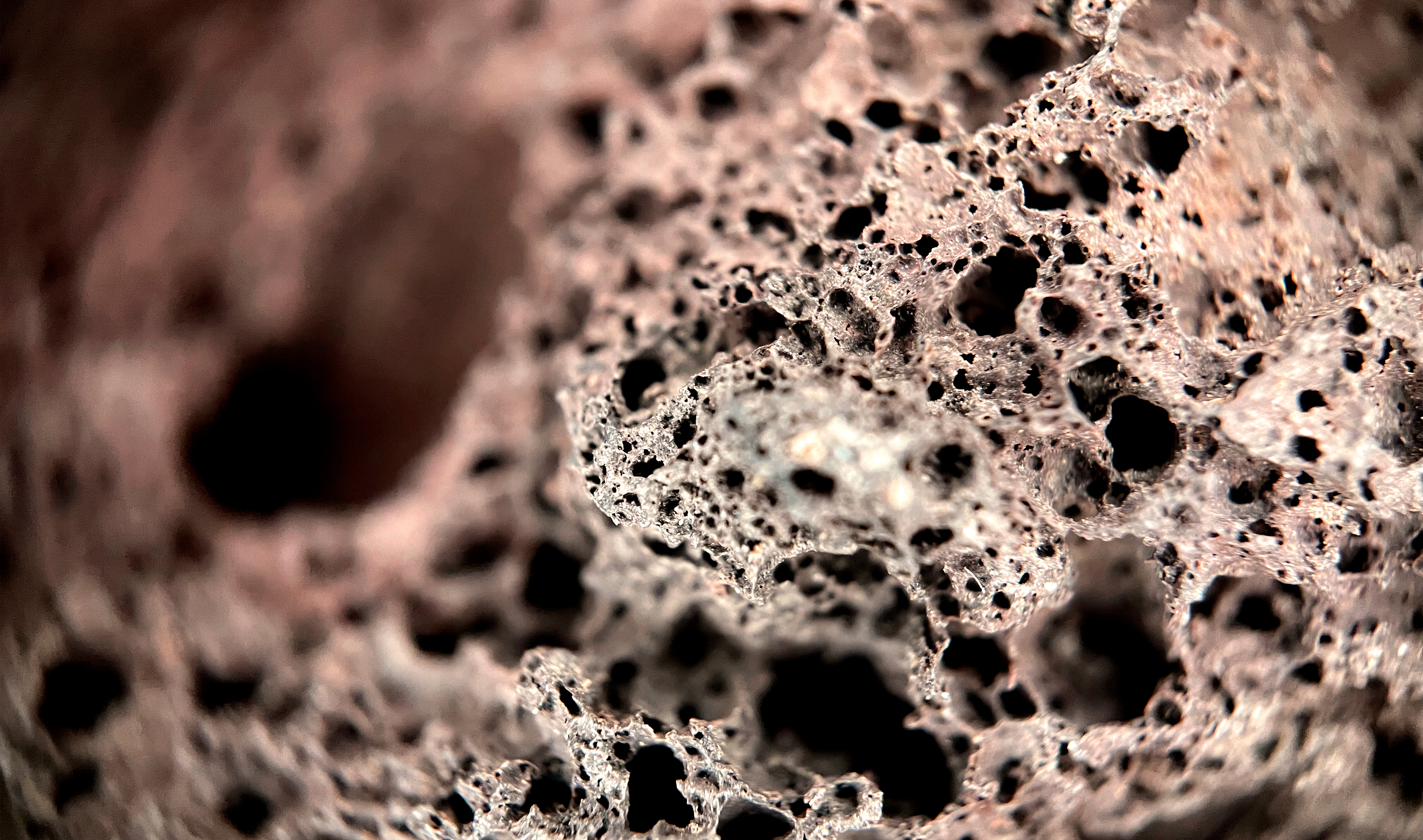 black mold 